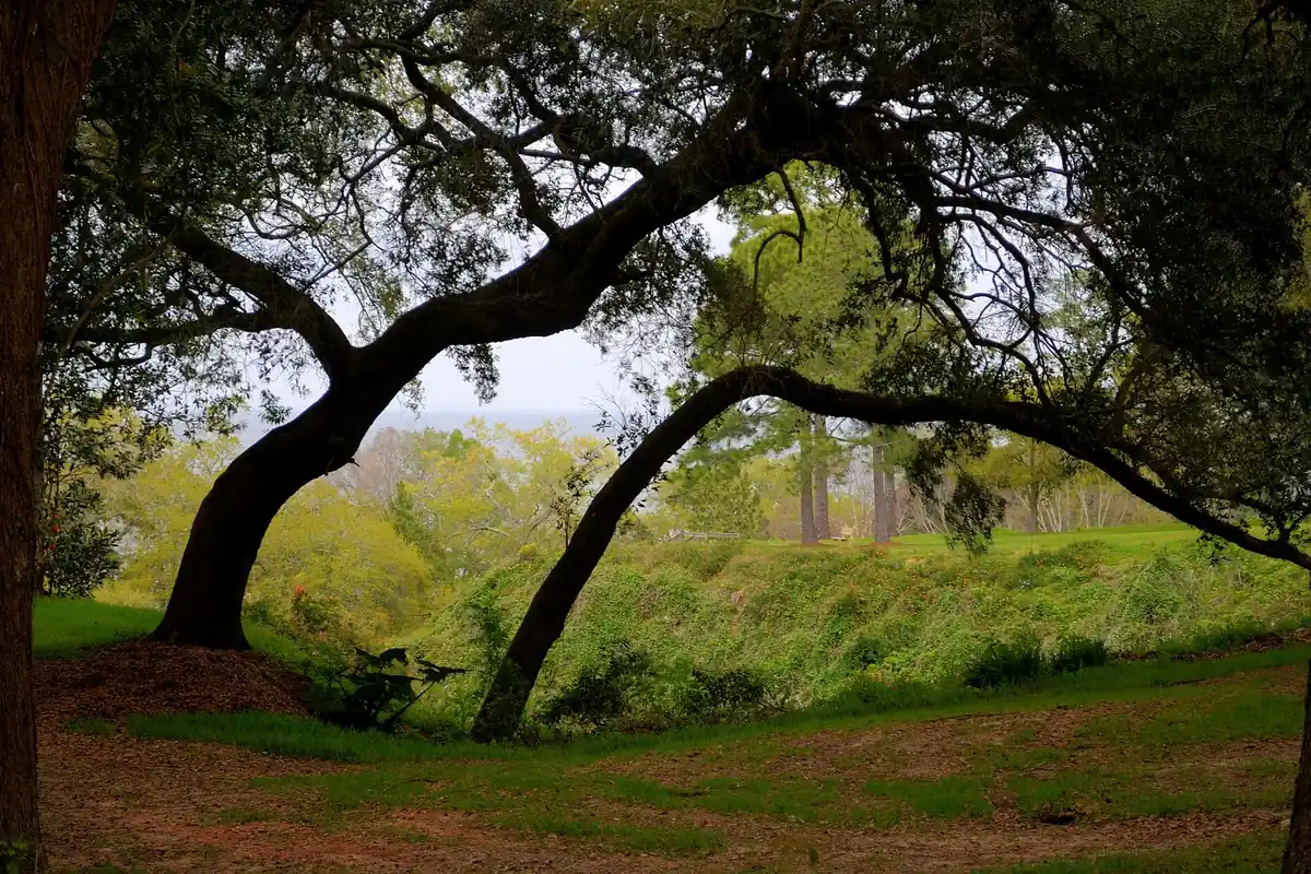 Mobile Bay view in Fairhope, Alabama